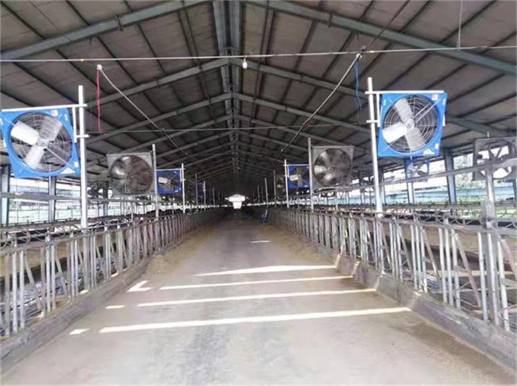 新建牛场的悬挂式风机如何安装(图2)